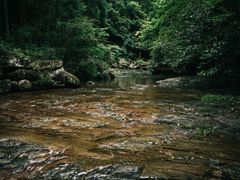 -雁荡山大龙湫景区
