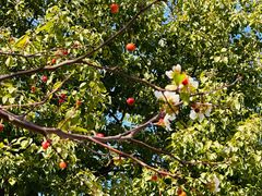 -昆山城市生态森林公园