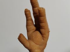 酱鸡爪子-老回回烩面馆(左家庄店)