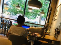 -ZM COFFEE(西安路店)