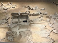 -洛阳周王城天子驾六博物馆