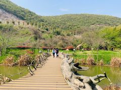 -金钉子远古世界景区