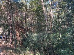 -青龙山国家森林公园