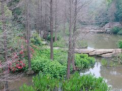-云溪植物园