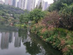 -重庆彩云湖湿地公园