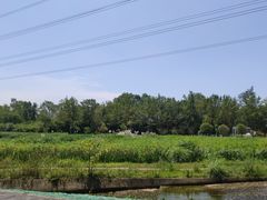 -桤木河湿地公园