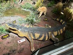 -陕西自然博物馆