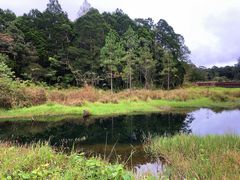 -海南热带雨林国家公园吊罗山景区