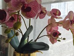 -楚禾宴·家宴(光谷大道店)