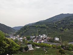 -龙井村