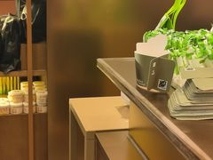 -奈雪的茶(石家庄万象城店)