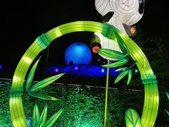 -大塘金香草谷