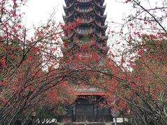 -塔子山公园