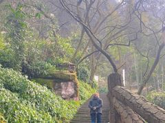 -綦江古剑山
