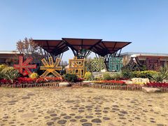 -上海长兴岛郊野公园