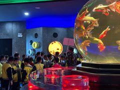 -北海·海洋之窗