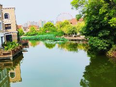 -成都南湖公园