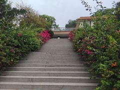-深圳仙湖植物园