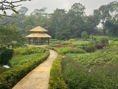 -广西壮族自治区药用植物园