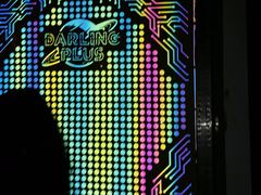 -Darling Queen·Mini·Live·House