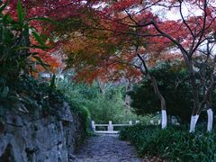 -南山风景名胜区
