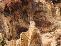 -元谋浪巴铺土林景区