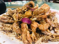 -四姑娘川味海鲜(八爪鱼店)