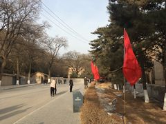 -延安杨家岭革命旧址