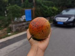 -缥缈峰景区