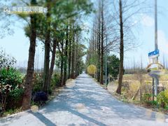 -上海长兴岛郊野公园