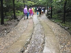 进入山道后的坡道。流水，树荫。-十渡东湖港风景区