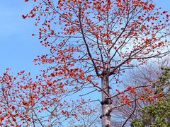 -陈家祠堂-游客中心
