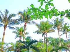 -大梅沙海滨公园