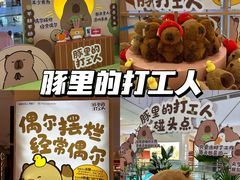 -凯德MALL(西直门店)