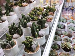 -KKV(深圳宏发大仟里店)