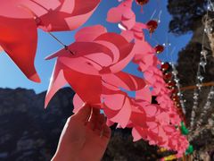 -黑龙潭风景区