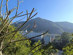 -广州市流溪河国家森林公园