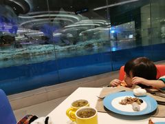 -帝企鹅自助餐厅•儿童岛•真企鹅(长隆企鹅酒店)