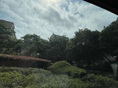 -桐乡植物园