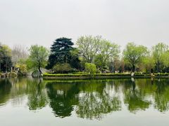 -泰州凤城河风景区-泰山公园