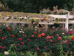 -人民公园(罗湖区)