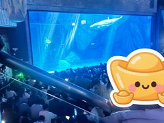 -上海海昌海洋公园-冰山北极馆