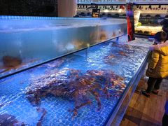 水产区-驻海渔市(置信店)