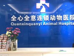 -全心全意连锁动物医院·微创中心·内科急重症·心脏专科(丰管路店)