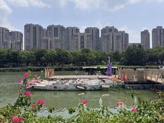 -光明港公园