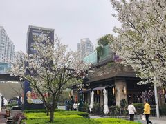 -证大大拇指广场(芳甸路店)