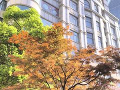 -南京路步行街