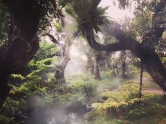 -Chom Cafe and Restaurant