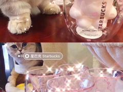 -星巴克臻选(深圳龙华红山天虹店)
