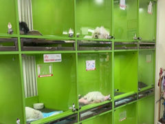 -唐小姐の猫狗洗护·购宠旗舰店(周浦万达店)